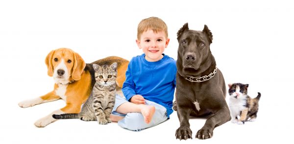 Wilmington Pets