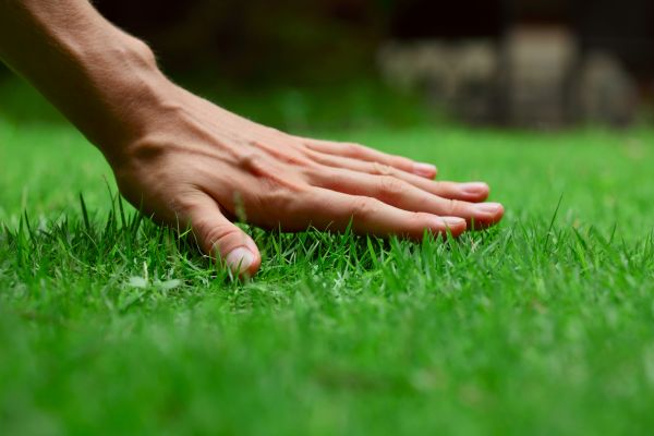 Wilmington Lawn Treatment