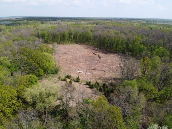 Wilmington Land Clearing